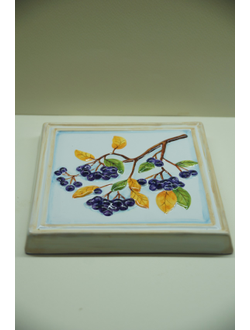 Черноплодная рябина