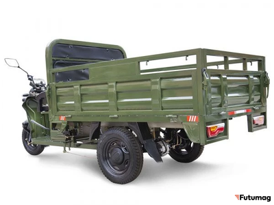 Электротрицикл Rutrike D4 Next 1800 60V1200W зеленый