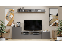 Гостиная Сильвия Тип 2 Графит серый/Графит матовый