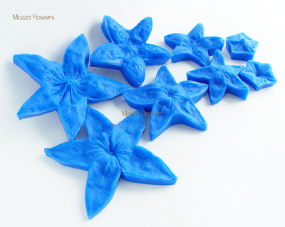 "Физалис " силиконовые молды (вайнеры)