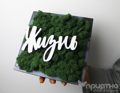 ЖИВАЯ ЭКО-КАРТИНА 1058