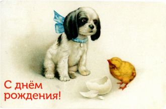 753. С жднем рождения!