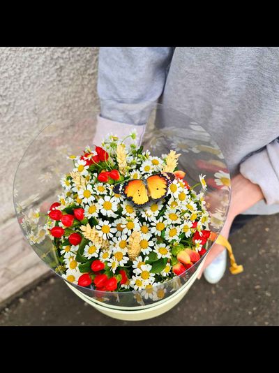 Ромашки с бабочками №92