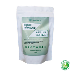 Шлемник байкальский - scutellaria baicalensis, 250гр.