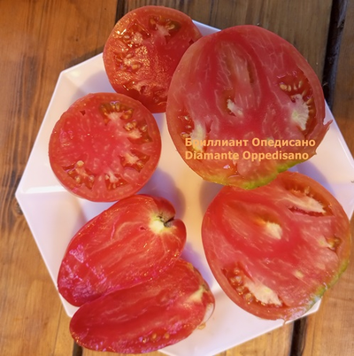 Томат Бриллиант Оппедисано (Diamante Oppedisano)