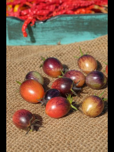 Томат Любушка, 10 шт