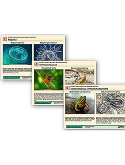 Комплект таблиц раздаточных "Ядовитые животные"