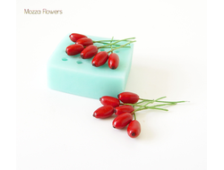 "Барбарис" силиконовый молд