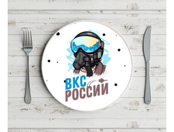 Тарелка на 23 февраля №14