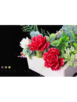 ГВОЗДИКА МАХРОВАЯ