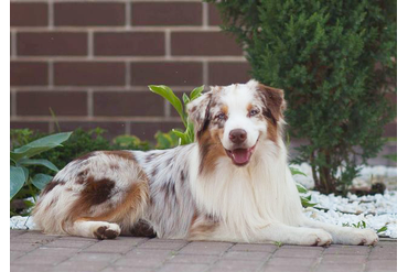 MOONBABY’S FIRE SKY / Фаер /, mas