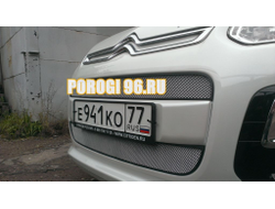 Защита радиатора Citroen C3 Picasso 2013- (2 части) chrome