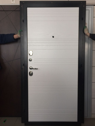 Дверь металлическая "Министр" (под панель)