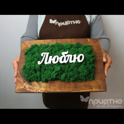 ЖИВАЯ ЭКО-КАРТИНА 1047