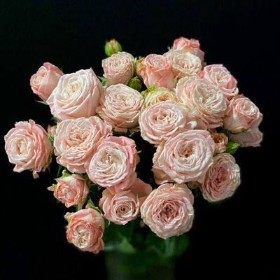 Кустовая роза 50 см. 11 шт