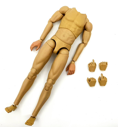 Тело без шеи 1/6 - (AL100034) - Alertline