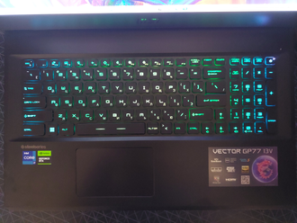 MSI Vector GP77 13VG ( 17.3 QHD IPS 165Hz i7-13700H RTX4070 (8Gb) 16Gb 1TB SSD )