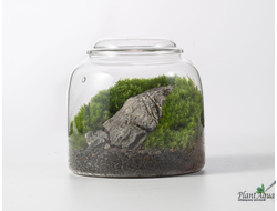 Чаша Пузырь Biolark One (120мм х 105мм)