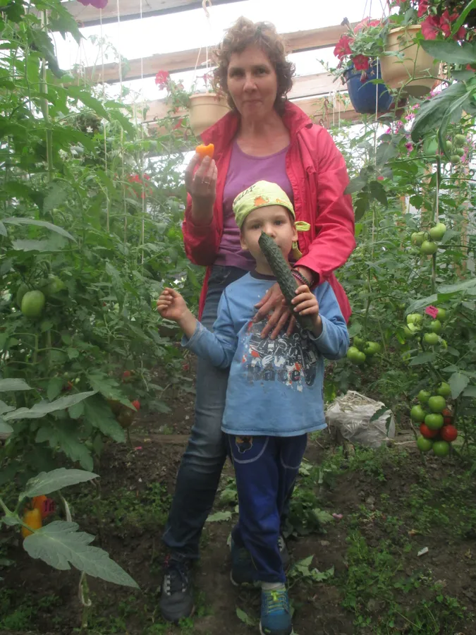 Дегустационная комиссия