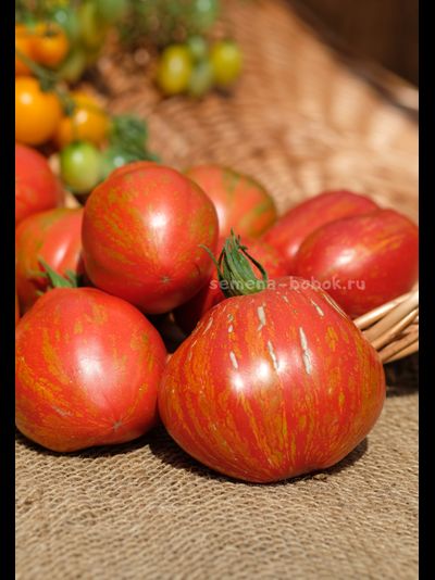 Томат Огненный шар (Palla di fuoco), 10 шт