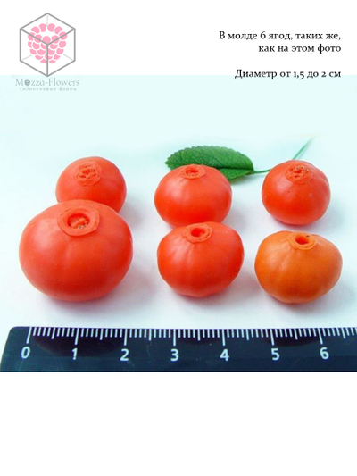 "Шиповник декоративный" Силиконовый молд