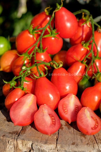 Томат Матрешка, 10 шт