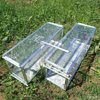 Котоловка «Kotolov» стандартная