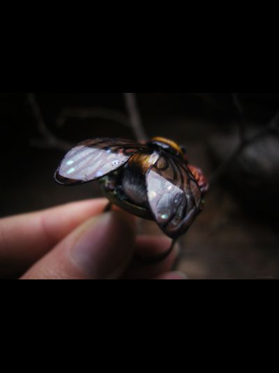 Коллекционное кольцо "Царевич Шмель в цветущем саду"