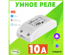 Умное реле (1 канал,10А, Wi-Fi) Орбита OT-HOS09