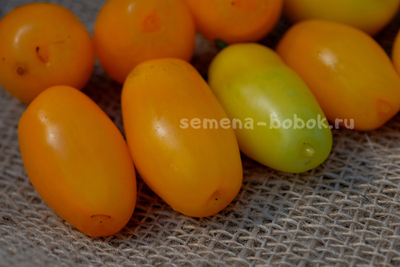 Dwarf Banana Toes (Гном Банановые пальчики), 10 шт