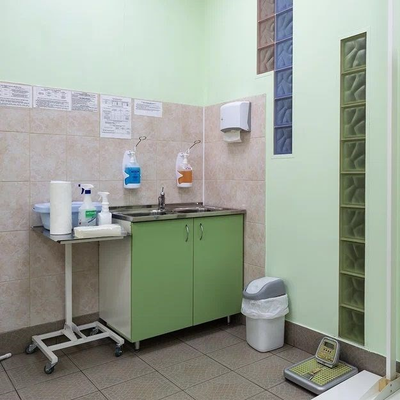 Стол-мойка медицинский лабораторный СМ-02 (исп.3)