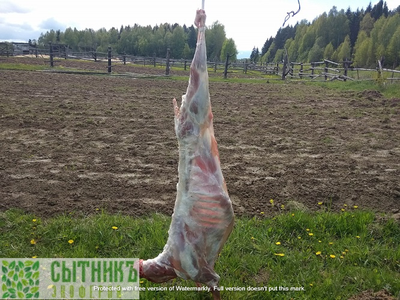 Домашняя тушенка из баранины фермерская купить