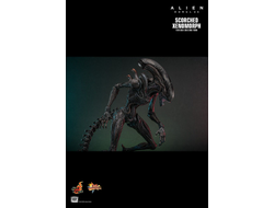 ПРЕДЗАКАЗ - Чужой (Ромул) - Коллекционная ФИГУРКА 1/6 Scorched Xenomorph Alien: Romulus (MMS784) - Hot toys ?ЦЕНА: 48600 РУБ.?