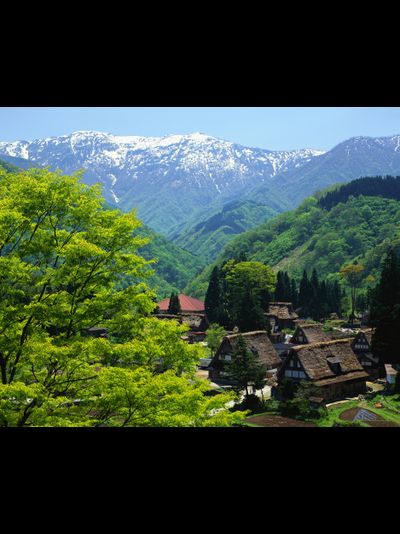 Купить греющую картину с фото поселение в горах