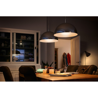 Лампа светодиодная Philips ESS LED Lustre 6.5-75W E14 827 P45ND