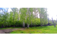 1-к б/у квартира, 32,5 кв.м., с. Красная Звезда, ул. Ефремова, д.1а, 2/3 этаж.