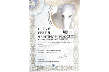 Аля. Диплом Юный Гранд Чемпион