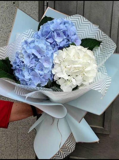 Букет из гортензии "Dreams" (цвет на выбор)