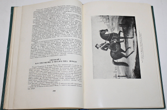 Витт В.О. Из истории русского коннозаводства. М.: Сельхозгиз. 1952г.