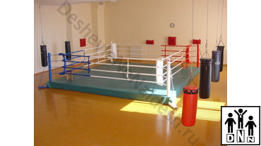 боксерский ринг 4х4 купить