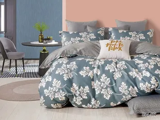 Постельное белье Cleo полутороспальное сатин 150х210х1 160х230х1 70х70х2 15/854-SK