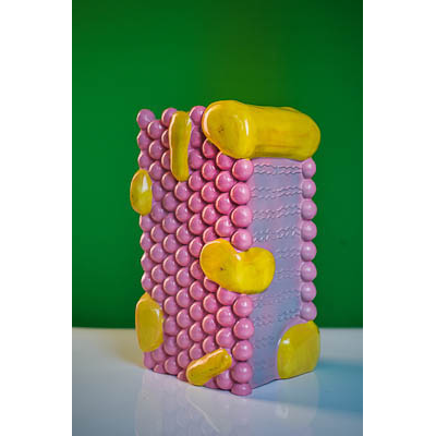 Модель "Строение клеточной оболочки"