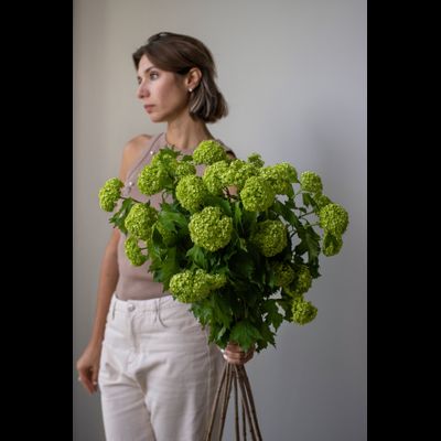 Моно букет цветов № 530