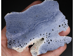 Коралл голубой Акори, Австралия (95*71*12 мм, 123 г) №37717