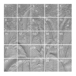 Панно гипсовое PLIADA артикул SPN5