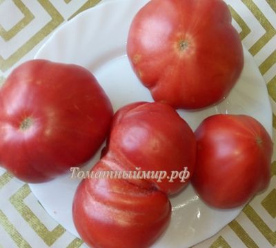 Томат Восхитительный Хой (Hoy Delicious)