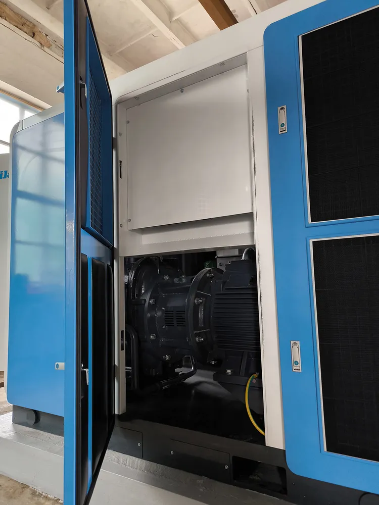 Компрессор DSV 110A-II