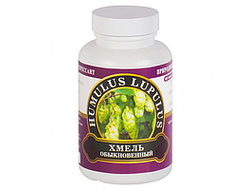 Хмель обыкновенный