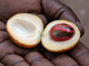 Мускатный орех (Myristica fragrans), плоды (10 мл) - 100% натуральное эфирное масло