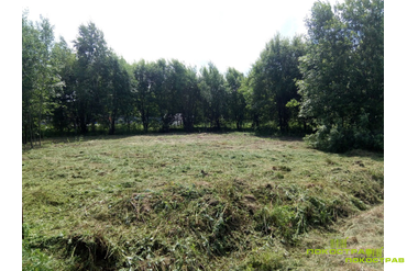 Расчистка пяти  соток за 5 часов